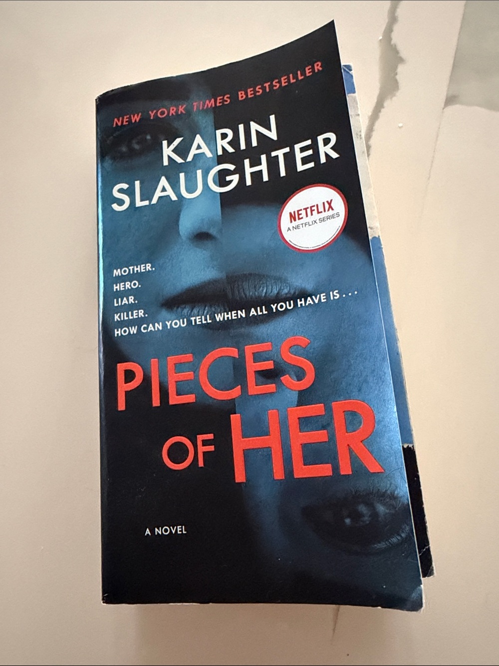 Pieces of Her Novel